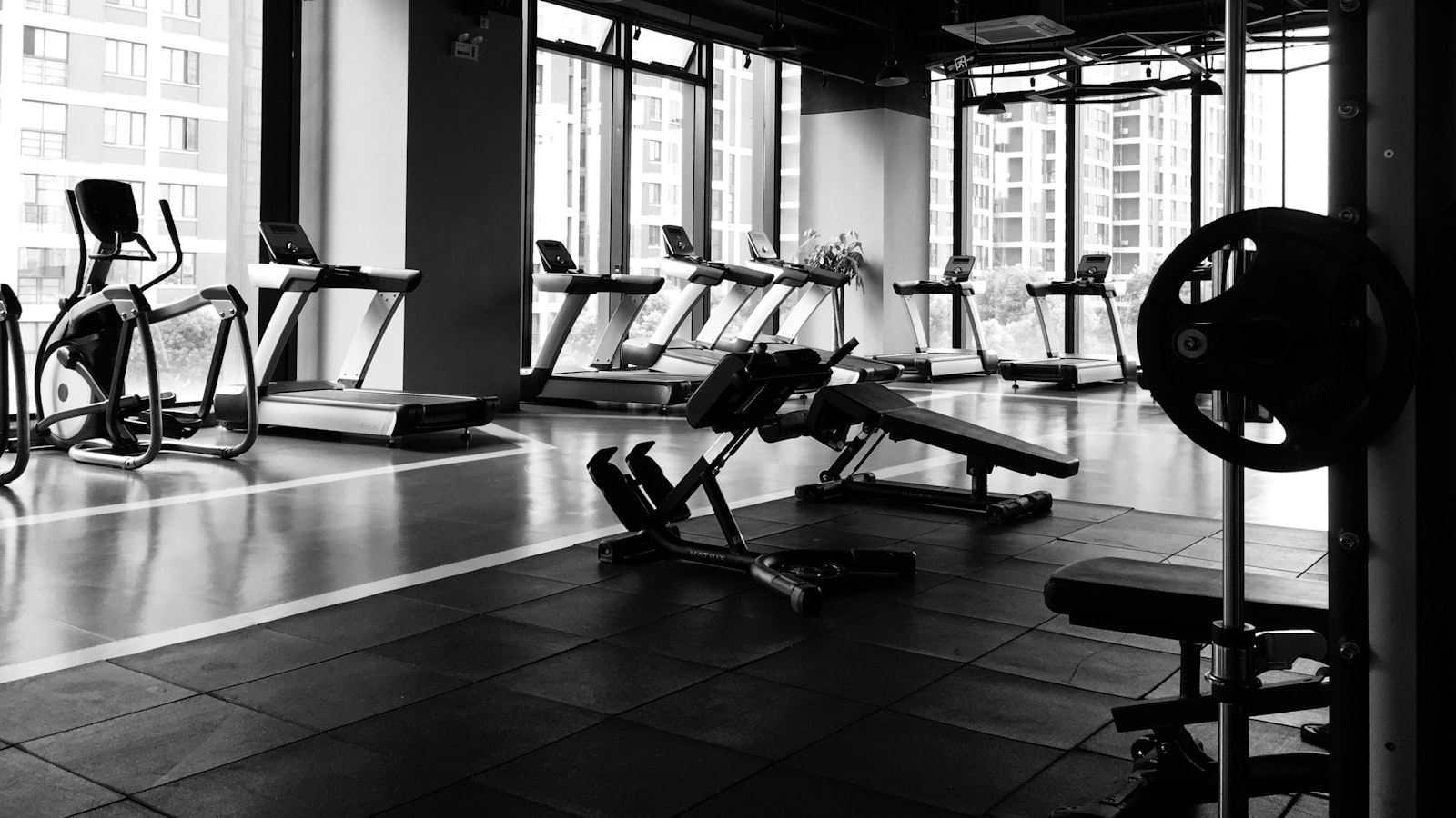 A person mid-set in a bright gym, gripping a barbell with focused calm